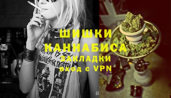 МДПВ Алексеевка